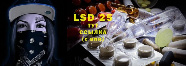 ГАЛЛЮЦИНОГЕННЫЕ ГРИБЫ Балабаново