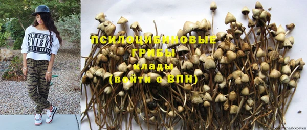 ГАЛЛЮЦИНОГЕННЫЕ ГРИБЫ Балабаново