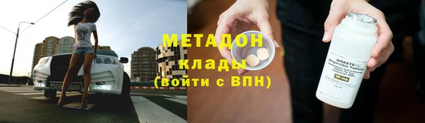 индика Тавда