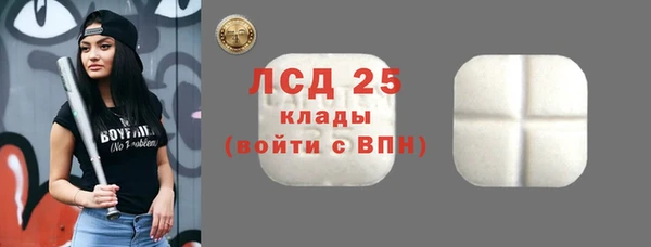 ГАЛЛЮЦИНОГЕННЫЕ ГРИБЫ Балабаново
