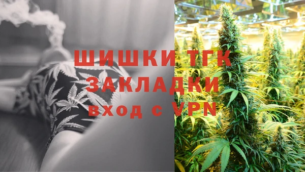 ГАЛЛЮЦИНОГЕННЫЕ ГРИБЫ Тайга