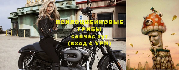 ГАЛЛЮЦИНОГЕННЫЕ ГРИБЫ Балабаново