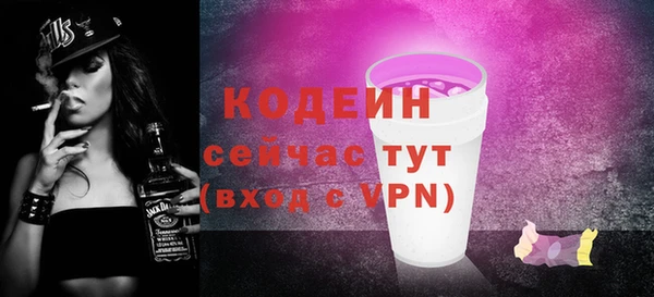 ГАЛЛЮЦИНОГЕННЫЕ ГРИБЫ Тайга