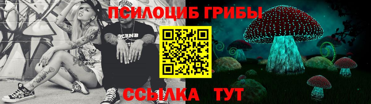 Галлюциногенные грибы Psilocybine cubensis  Верхняя Пышма 