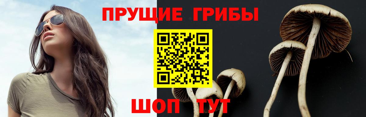 Псилоцибиновые грибы мухоморы  Галлюциногенные грибы мухоморы  Вход с VPN  Верхняя Пышма 